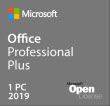 Office Professional Plus 2019